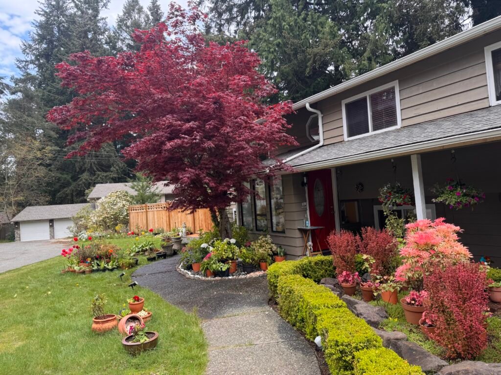 iCare Adult Family Home