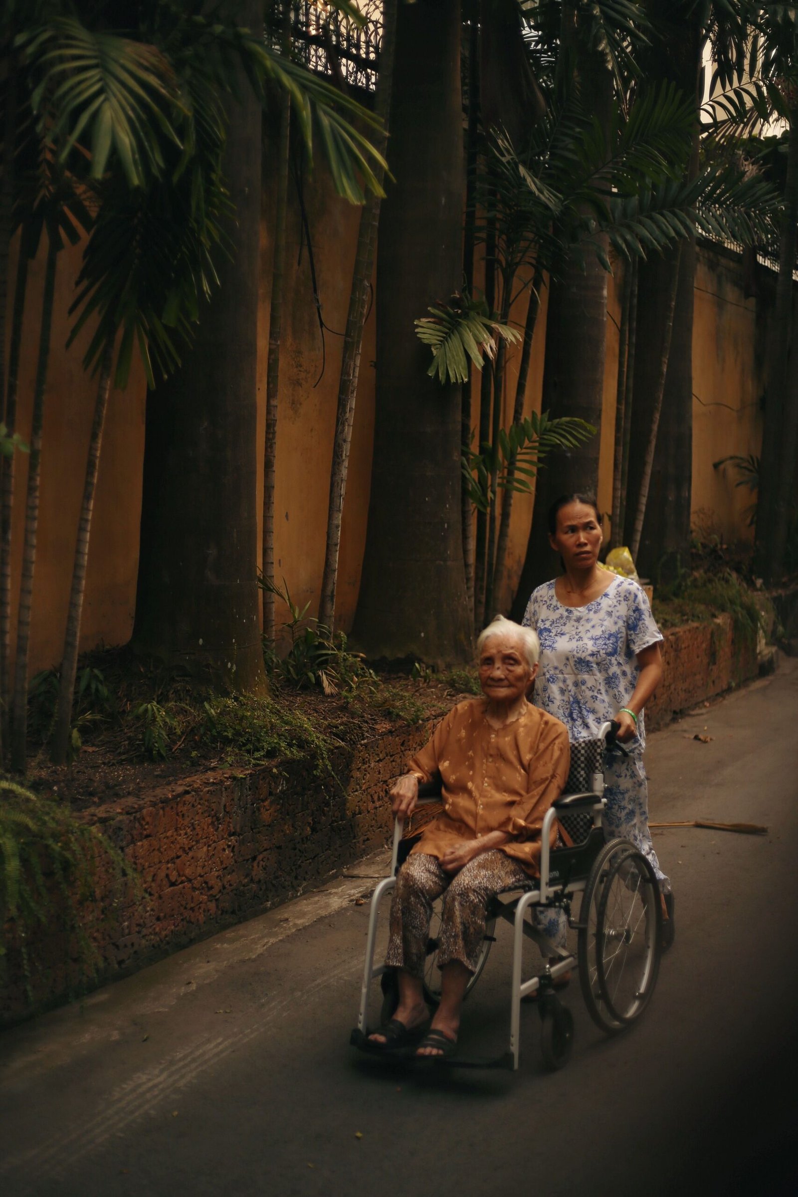 Caregiver pushing an older woman in a wheelchair outdoors