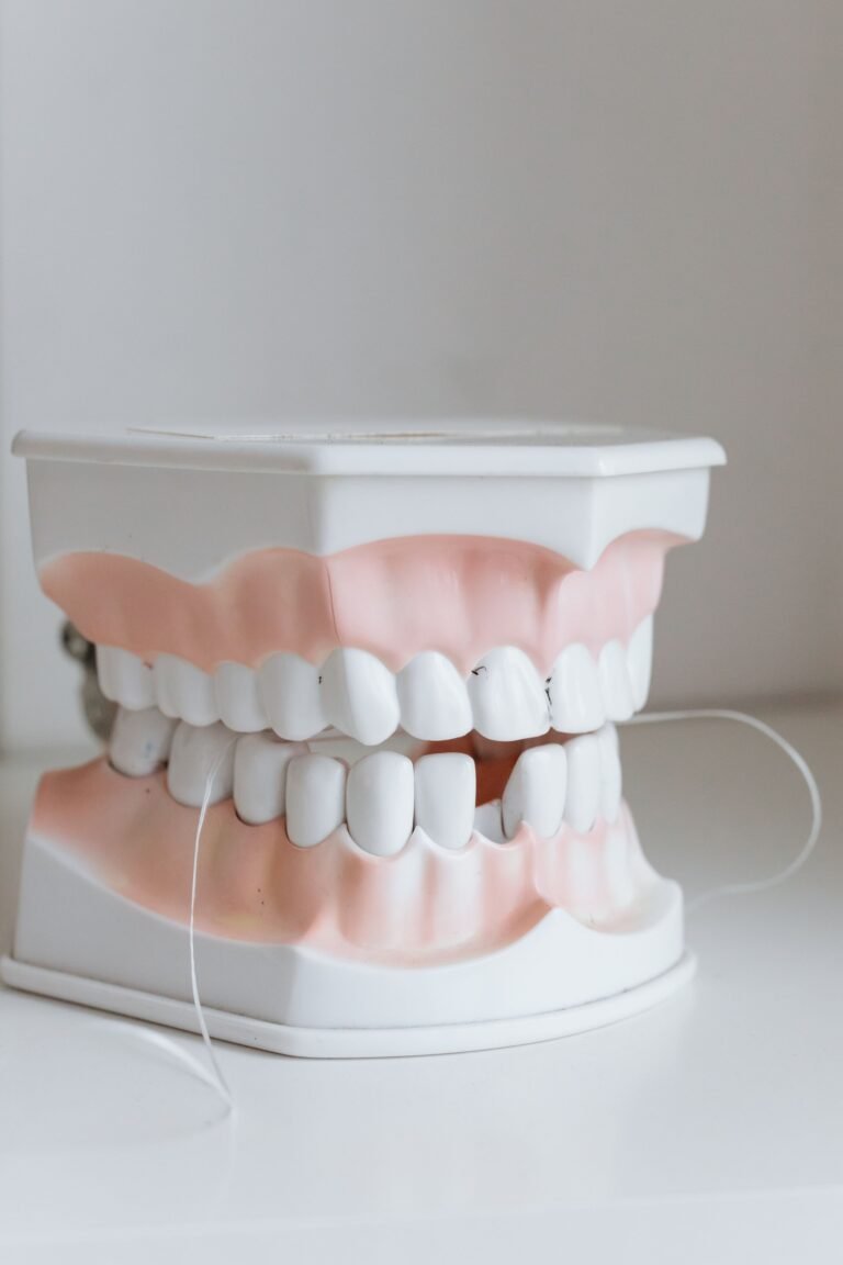 Close-up dental model showing dentures for oral-care planning