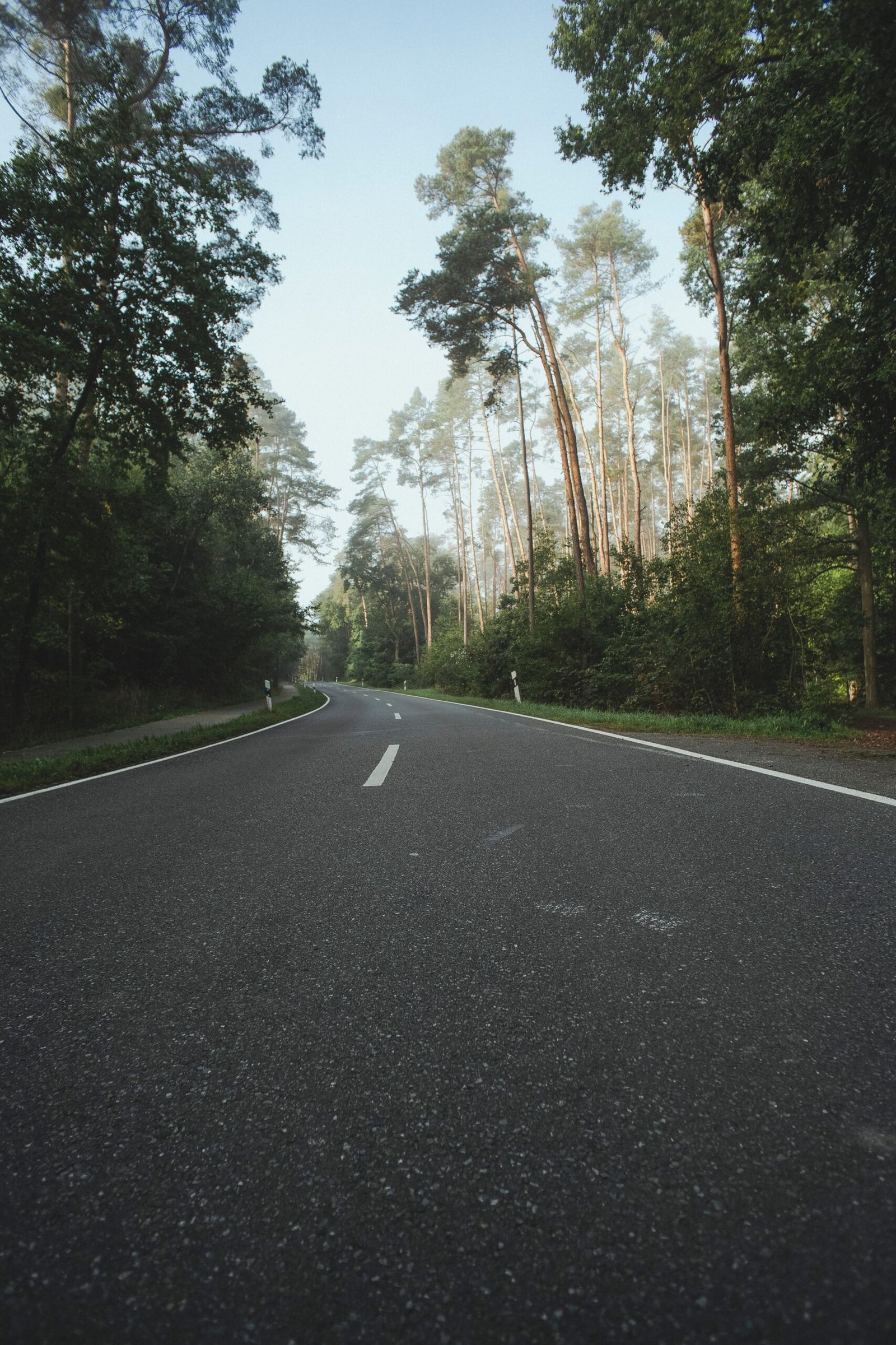 A paved road extending between tall green trees.